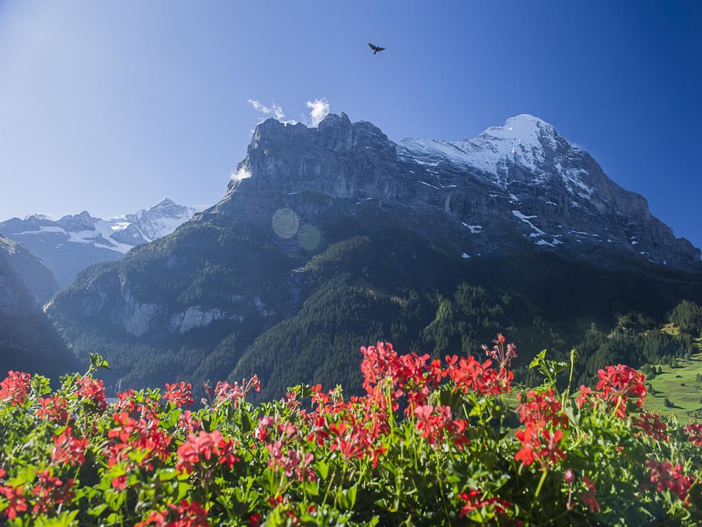 Hotel Bernerhof Grindelwald Dış mekan fotoğraf